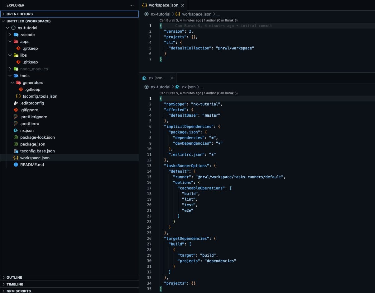 Nx-workspace-directory