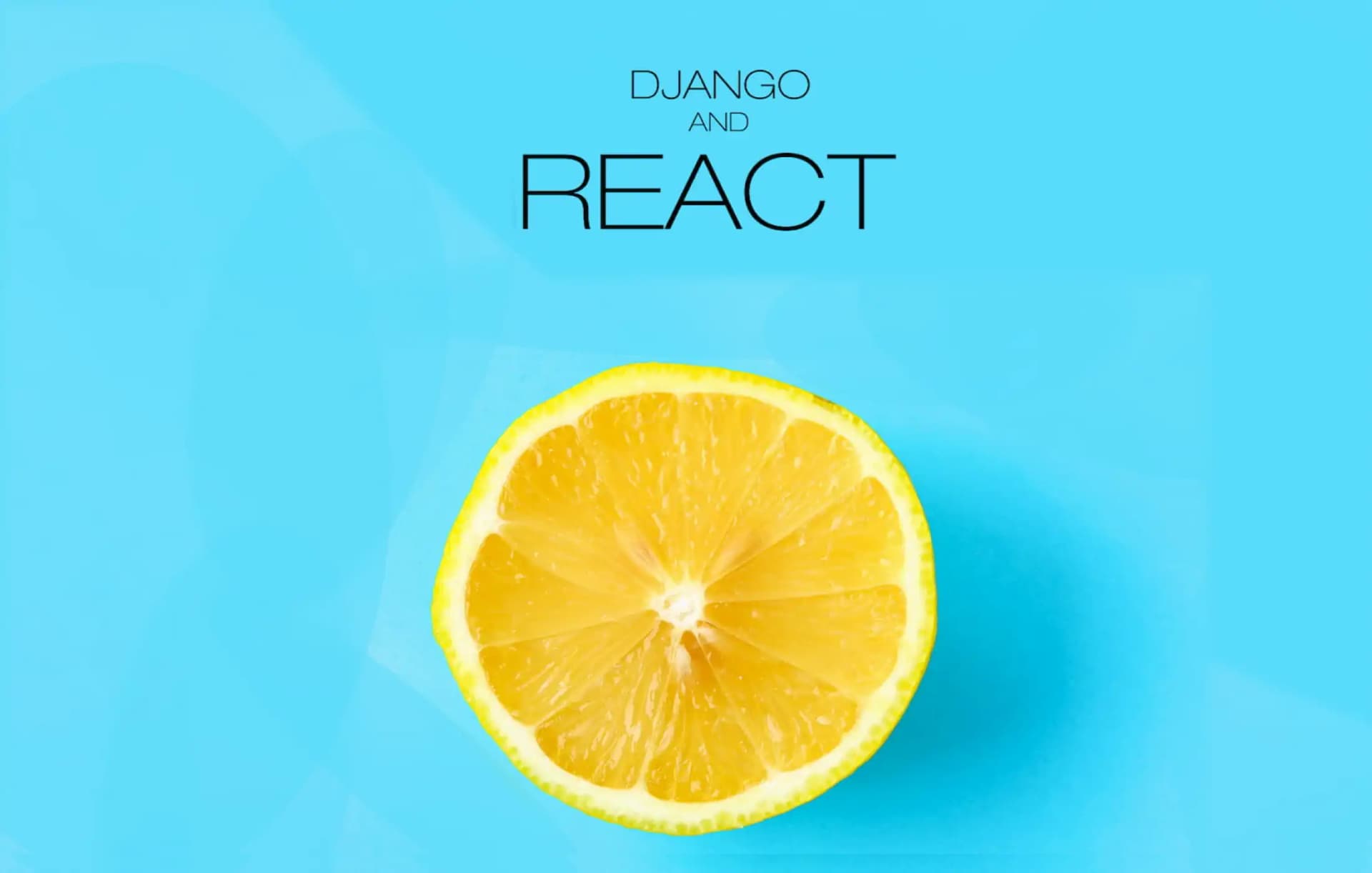 Django and Modern JS Libraries - React